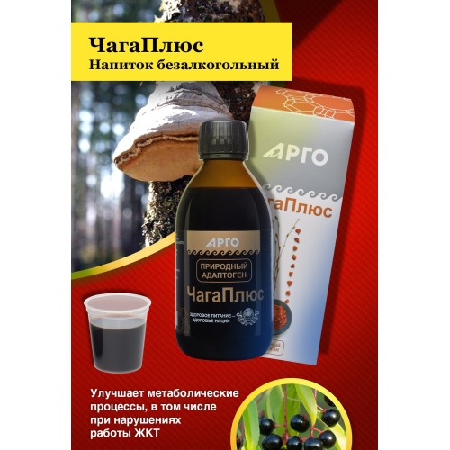 Литовит ЧагаПлюс, концентрат напитка, 250 мл