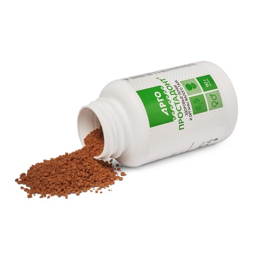 Простадонт