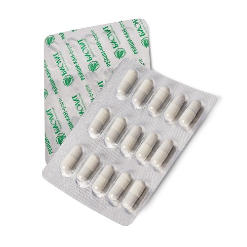 Рейши-Кан-форте, 30 капсул