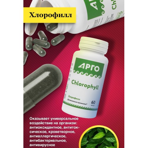 Хлорофилл, капсулы, 60 шт
