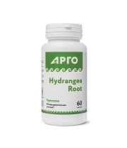 Гортензия TSN